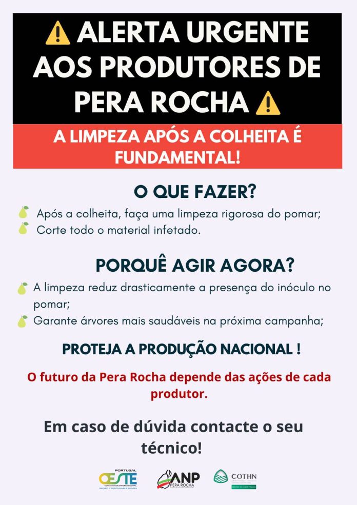 pera rocha, limpeza, comunidade intermunicipal oeste